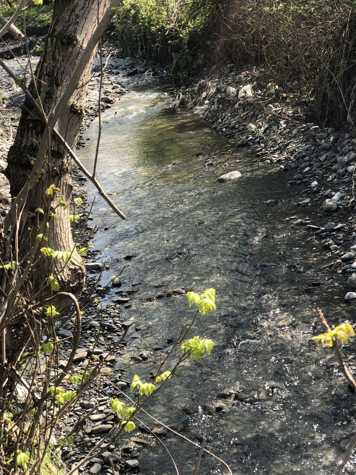 Satılır torpaq sahəsi 30 m²