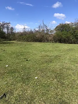 Satılır torpaq sahəsi 30 m² — Qəbələ 30.00 m²