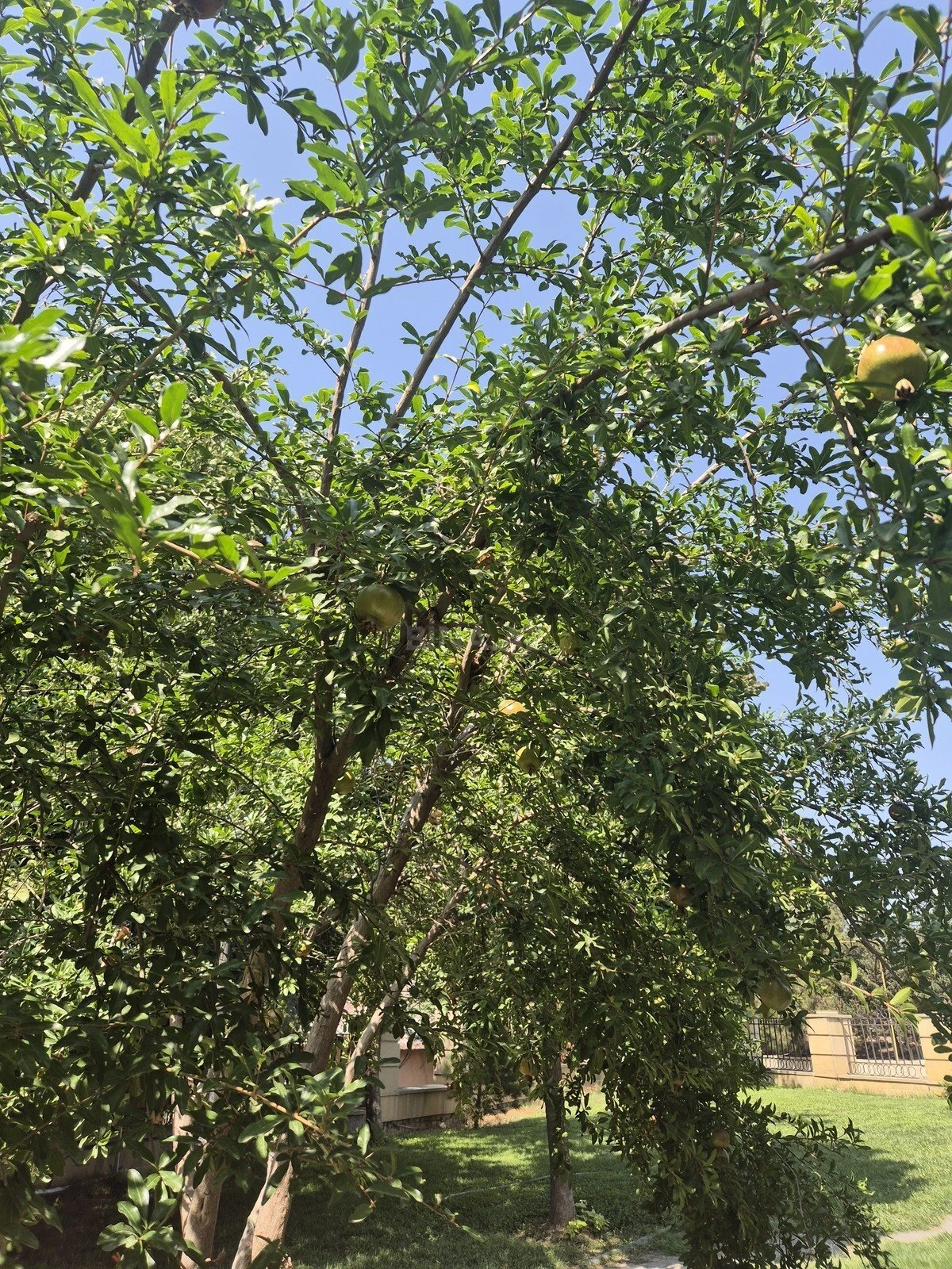 Satılır torpaq sahəsi 6 m²