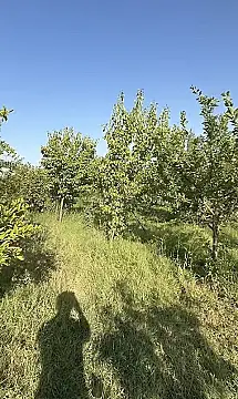 Satılır torpaq sahəsi 40 m² — Bərdə 40.00 m²