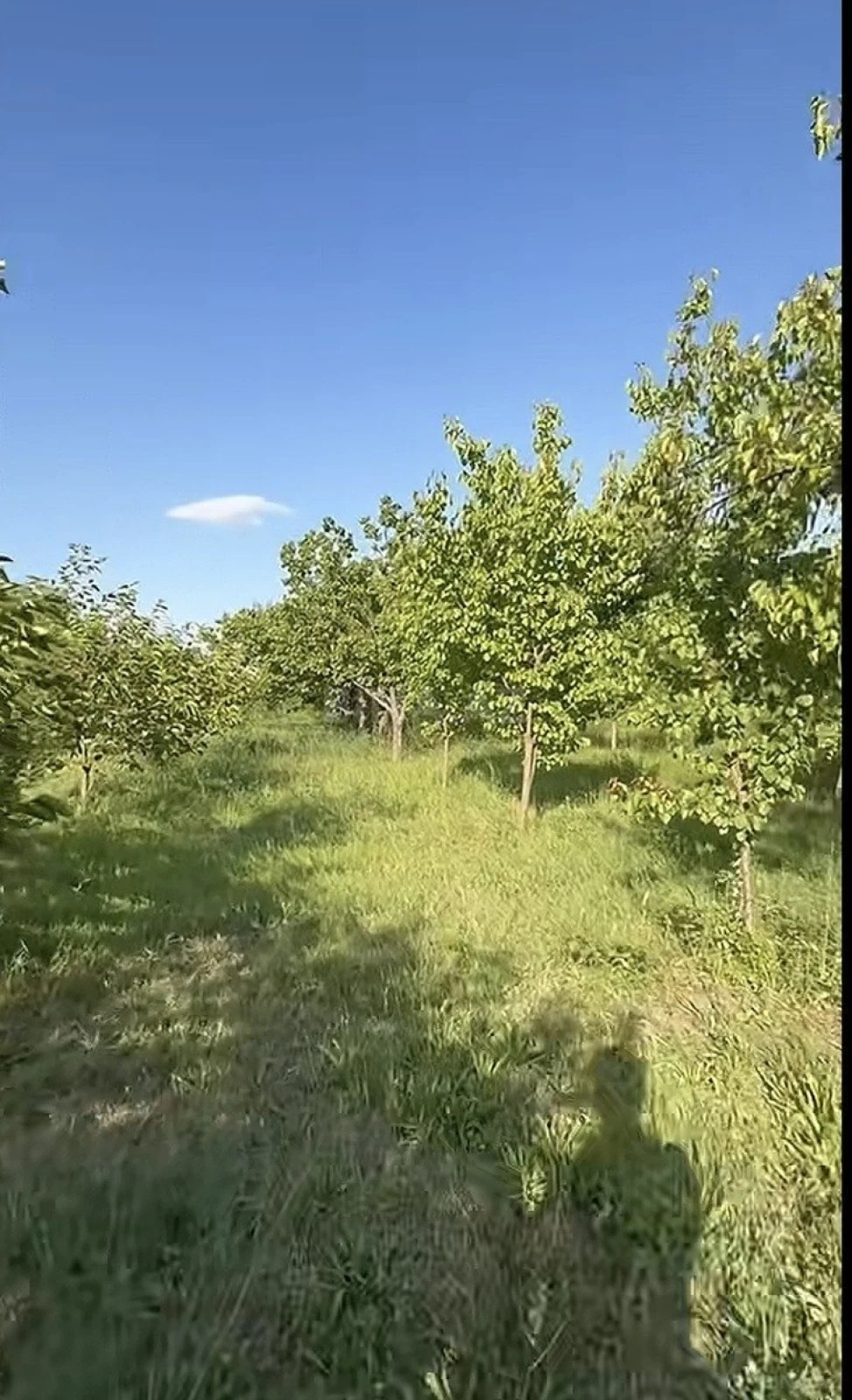 Satılır torpaq sahəsi 40 m²