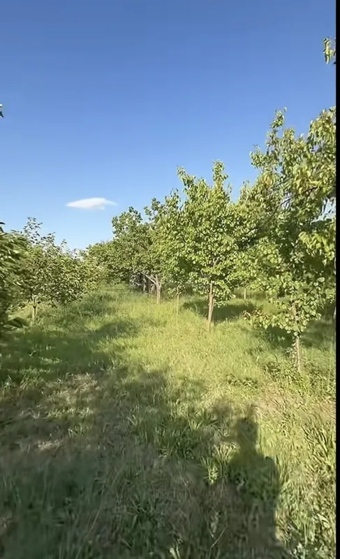 Satılır torpaq sahəsi 40 m²