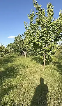 Satılır torpaq sahəsi 40 m²