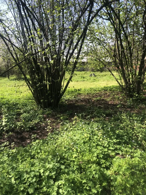 Satılır torpaq sahəsi 20 m²