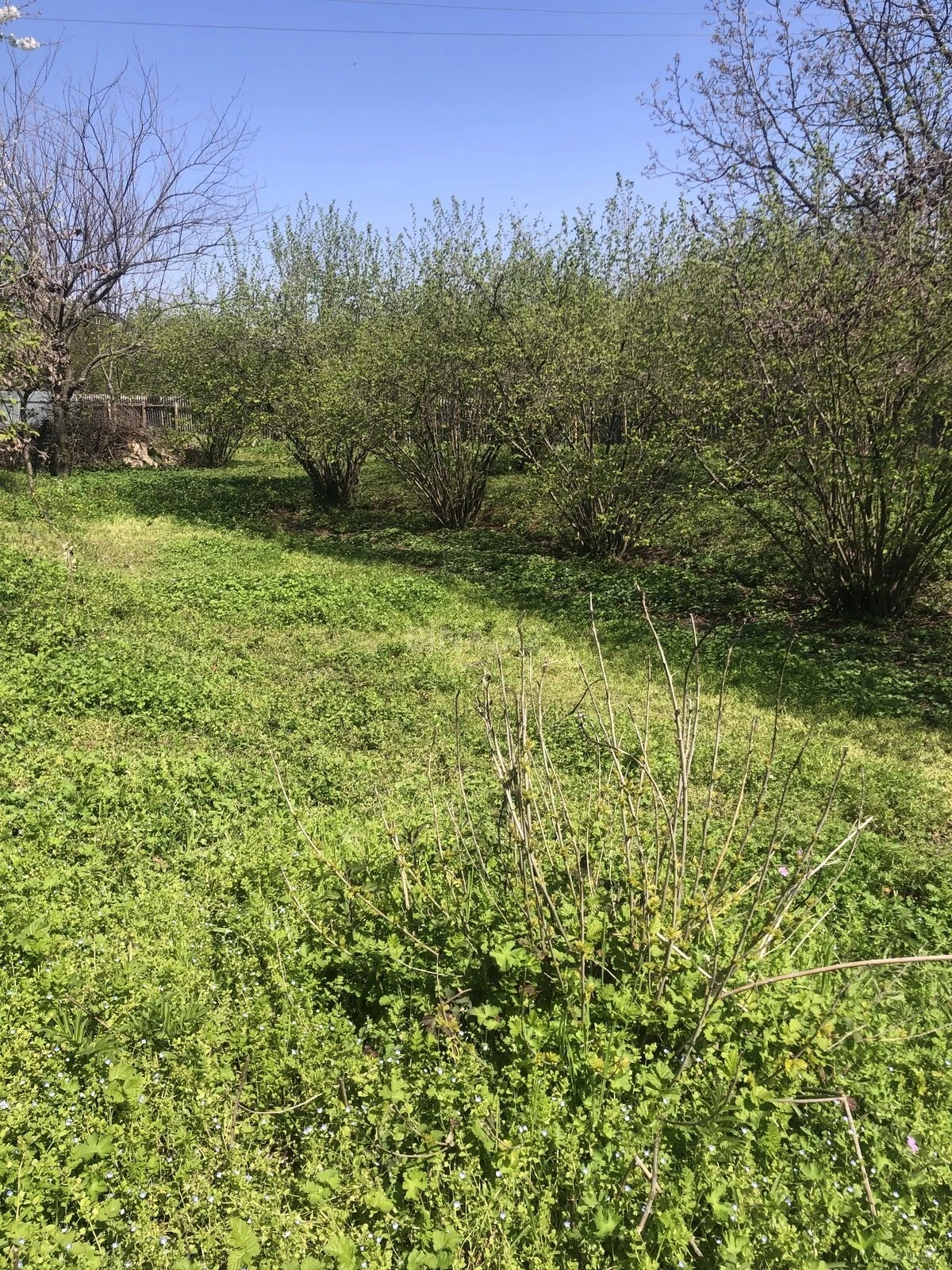 Satılır torpaq sahəsi 20 m²