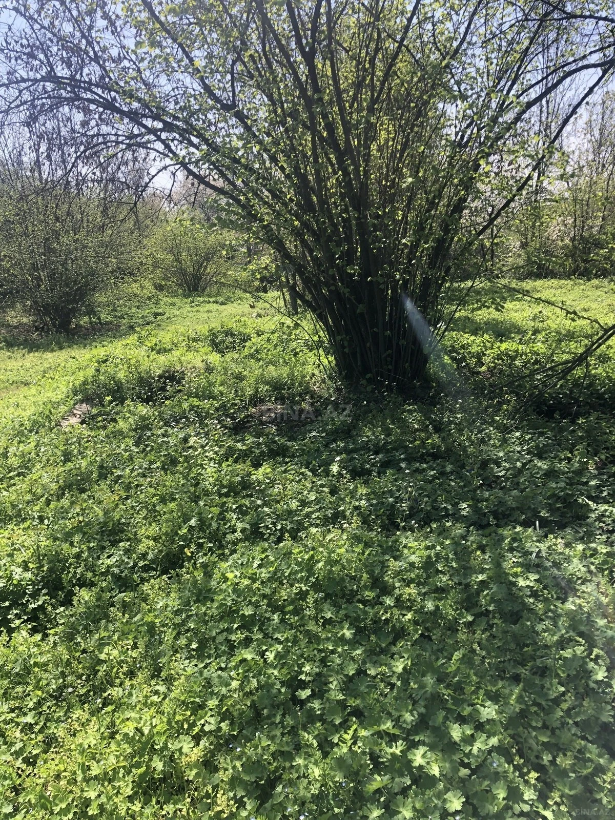 Satılır torpaq sahəsi 20 m²