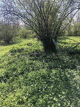 Satılır torpaq sahəsi 20 m²