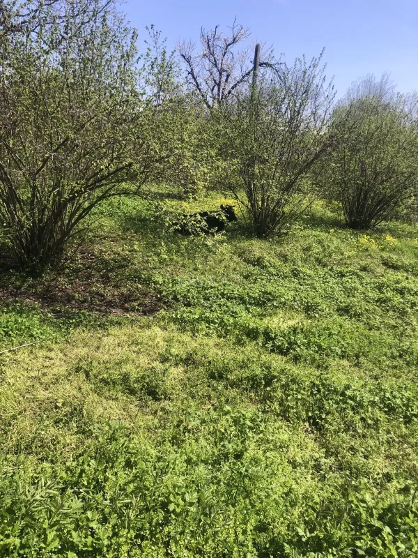 Satılır torpaq sahəsi 20 m²