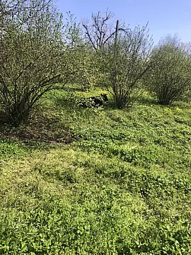 Satılır torpaq sahəsi 20 m² — Qəbələ 20.00 m²