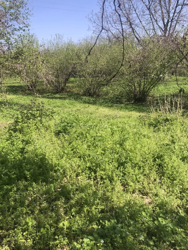 Satılır torpaq sahəsi 20 m²