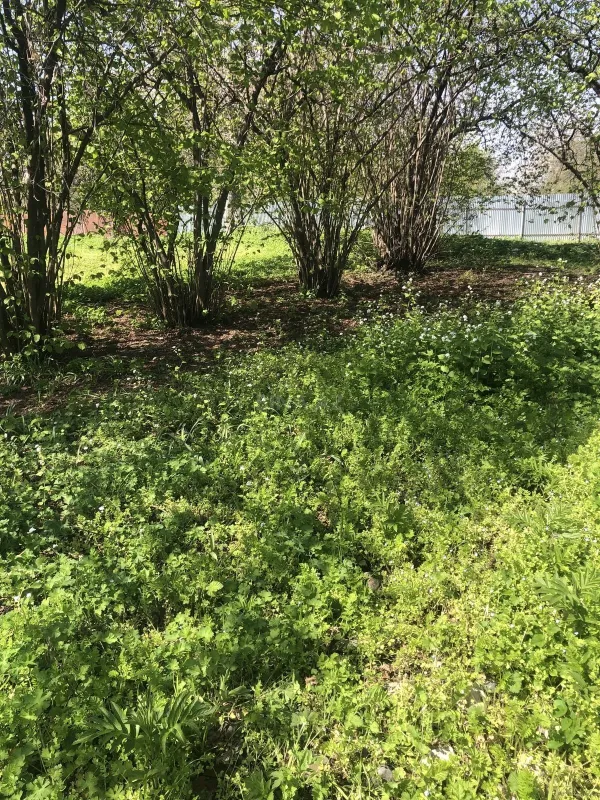 Satılır torpaq sahəsi 20 m²