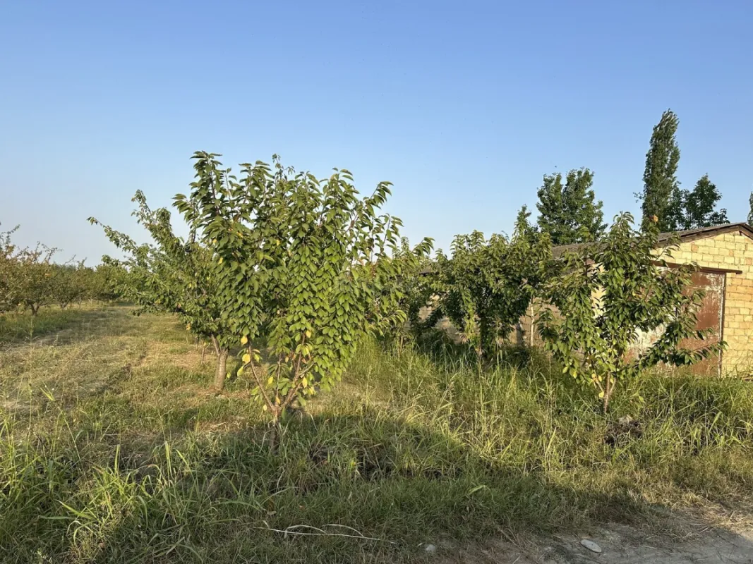 Satılır torpaq sahəsi 200 m²