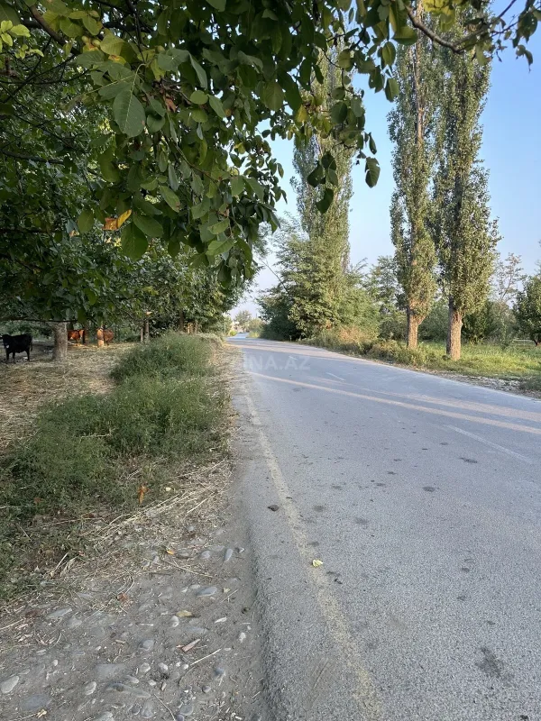 Satılır torpaq sahəsi 200 m²