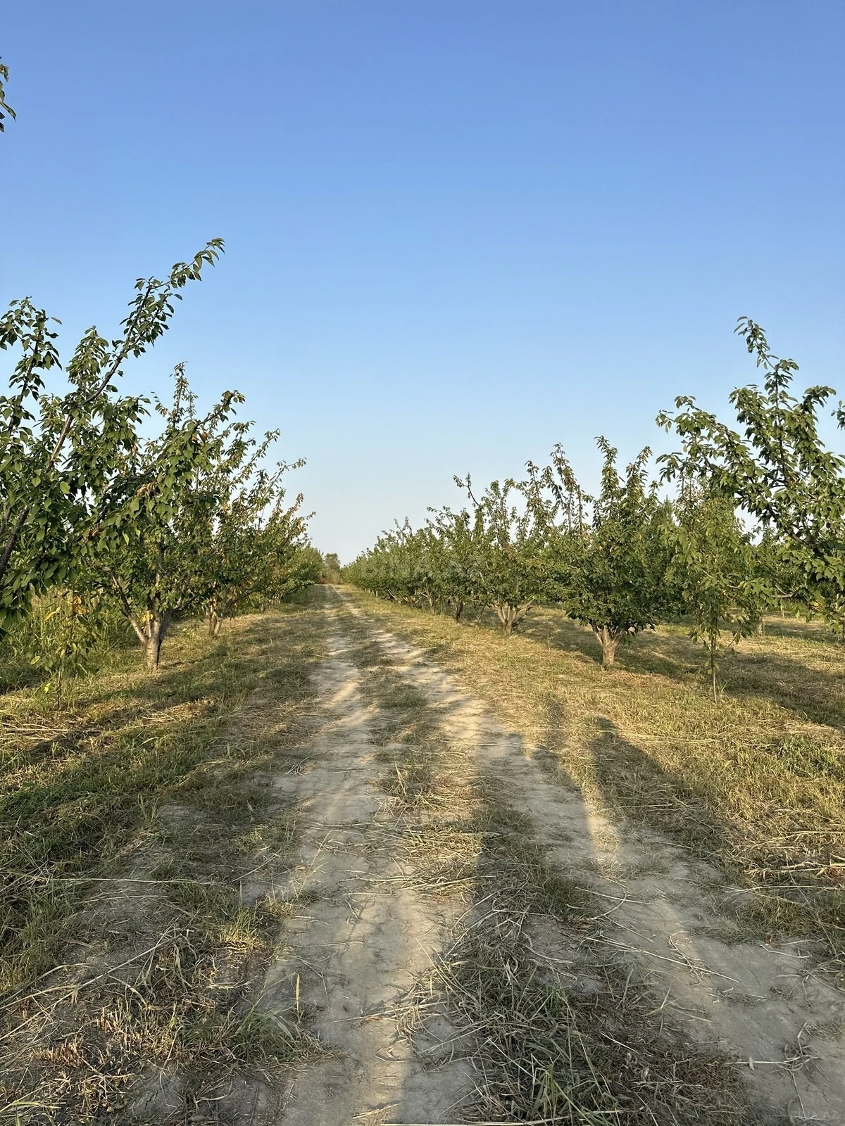 Satılır torpaq sahəsi 200 m²