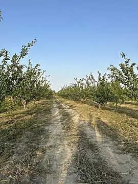 Satılır torpaq sahəsi 200 m²