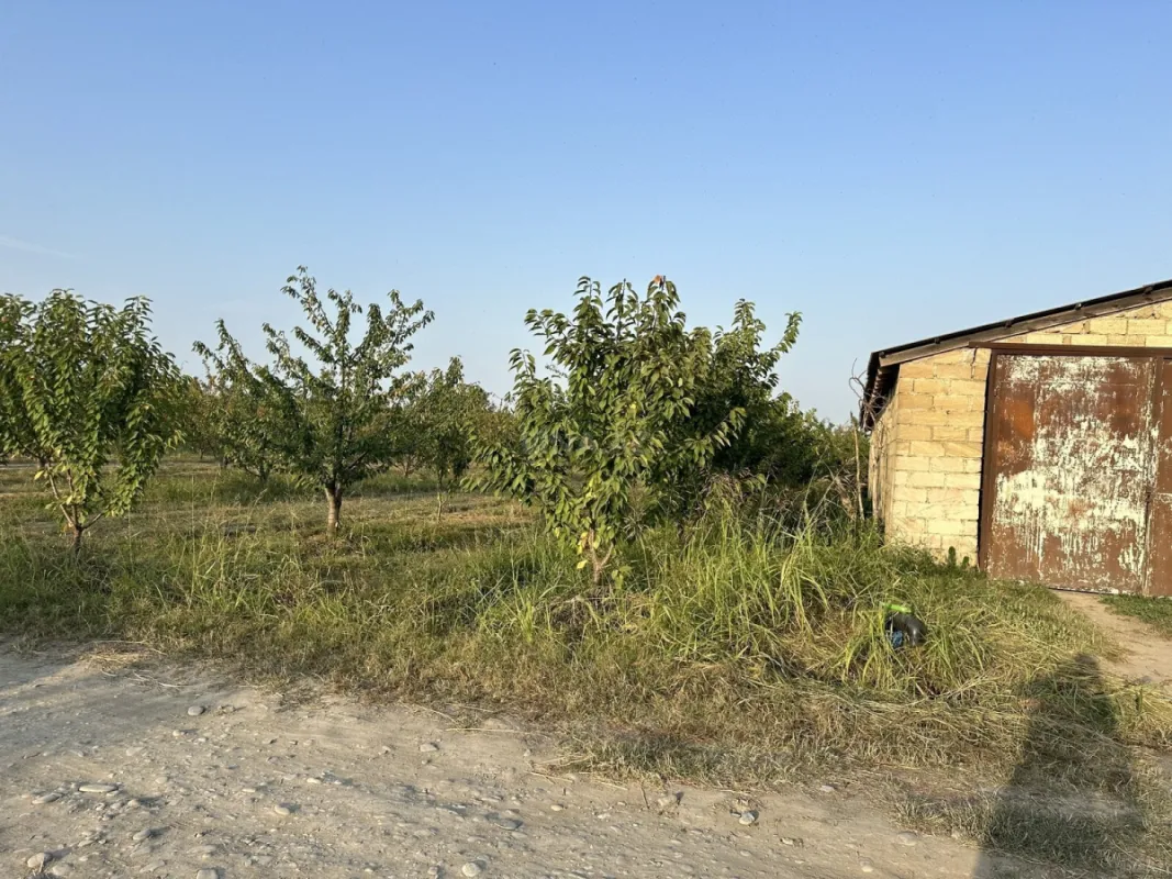 Satılır torpaq sahəsi 200 m²