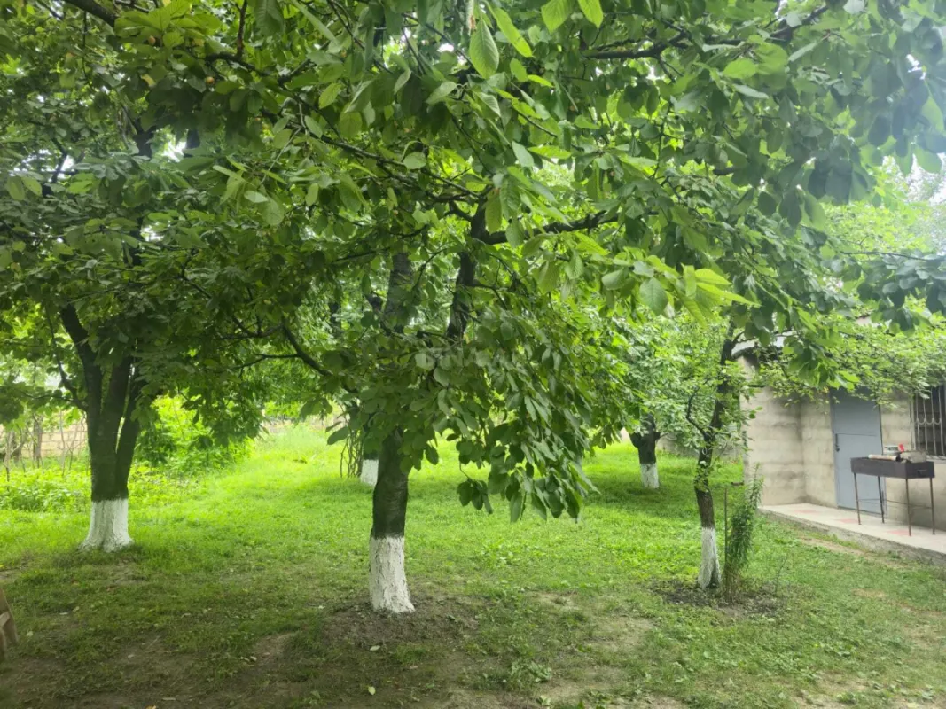 Kirayə verilir 2 otaqlı həyət evi 40 m²