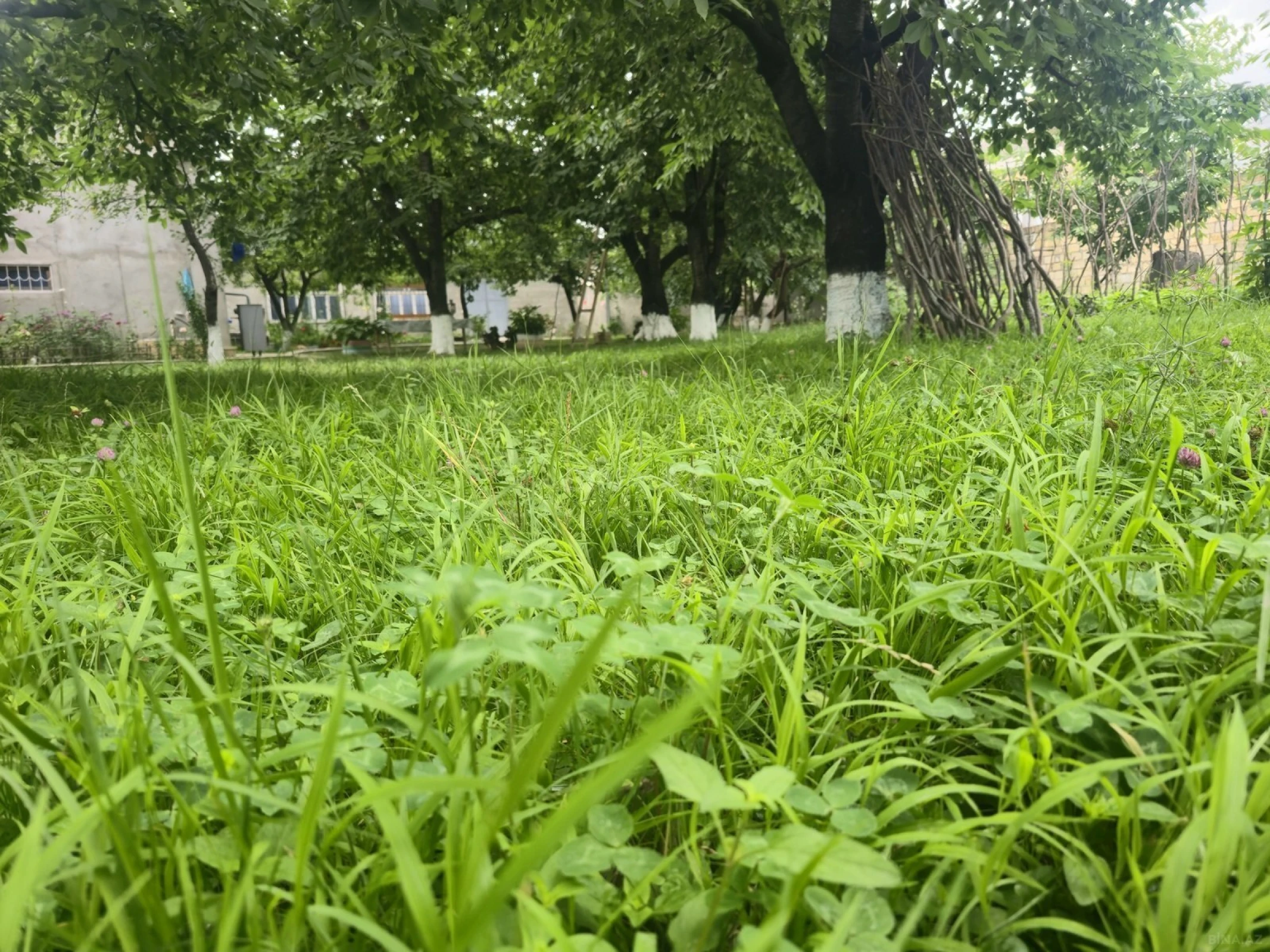 Kirayə verilir 2 otaqlı həyət evi 40 m²