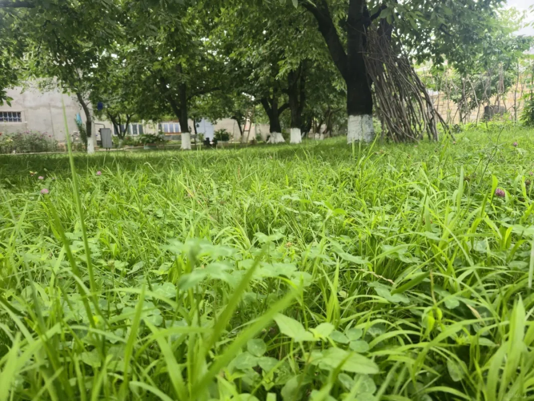 Kirayə verilir 2 otaqlı həyət evi 40 m²