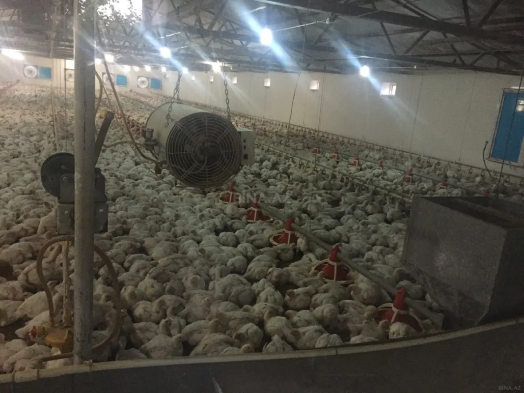 Satılır obyekt 2880 m²