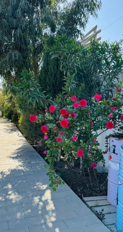 Kirayə verilir 6 otaqlı həyət evi 320 m²