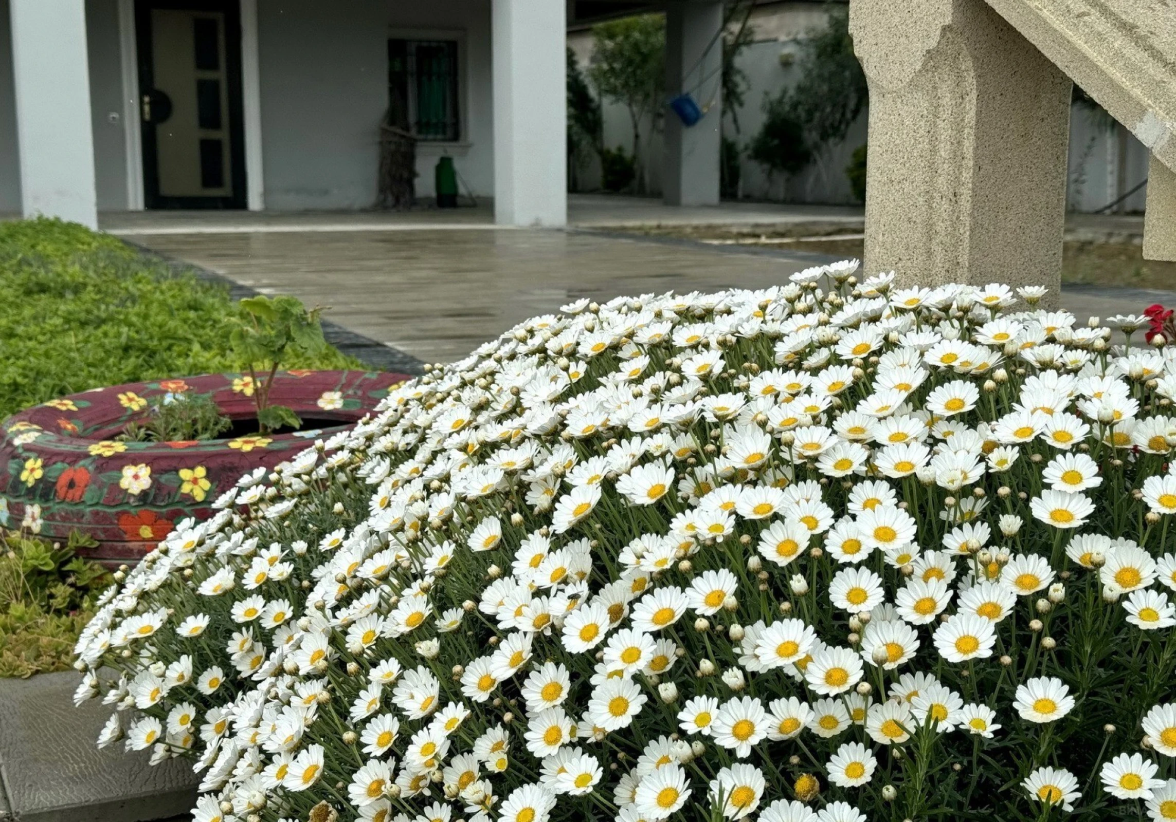 Kirayə verilir 6 otaqlı həyət evi 320 m²