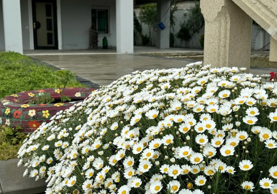 Kirayə verilir 6 otaqlı həyət evi 320 m²