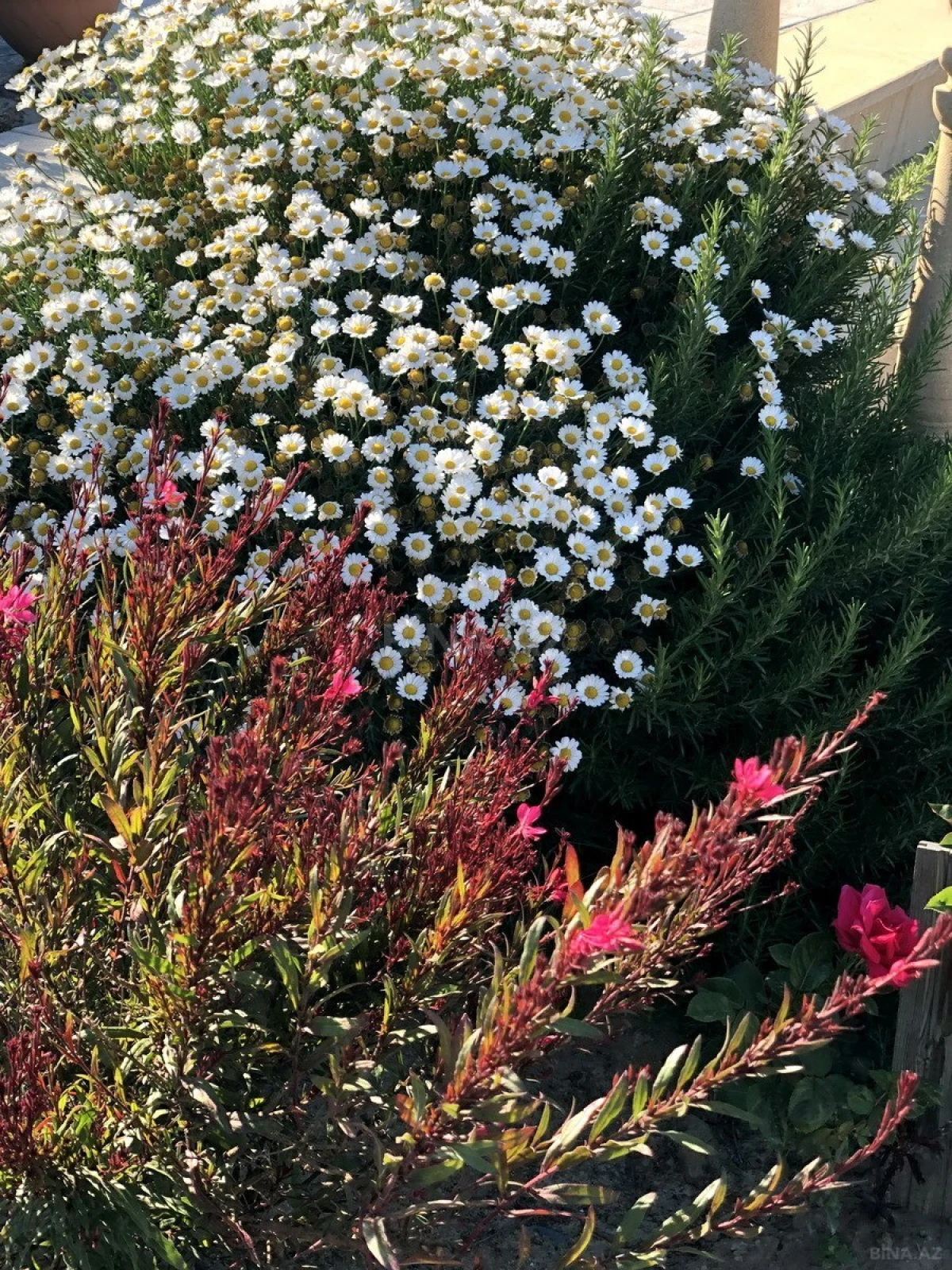 Kirayə verilir 6 otaqlı həyət evi 320 m²