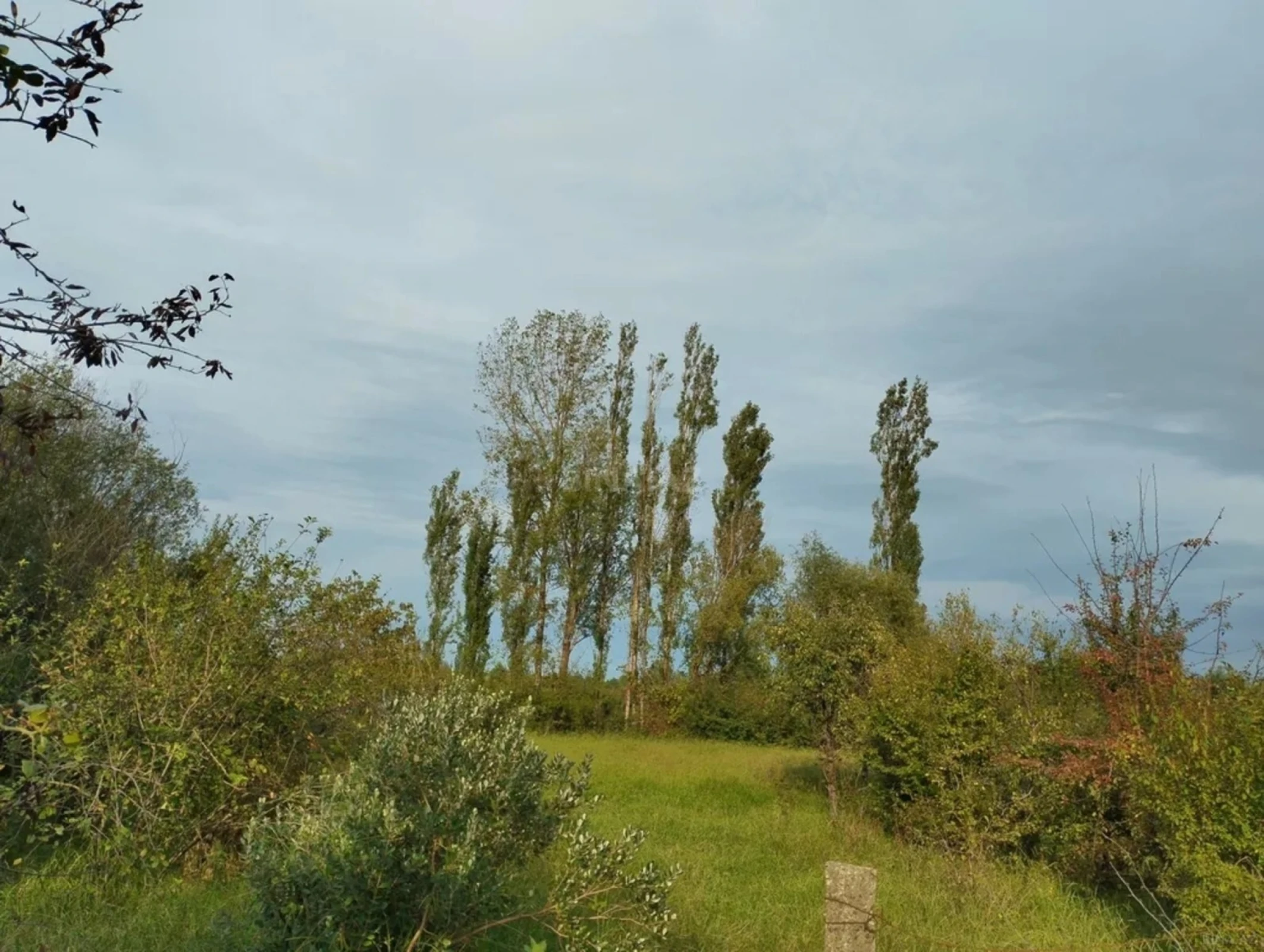 Satılır torpaq sahəsi 12 m²