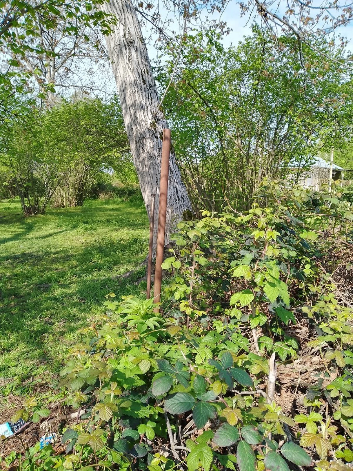 Satılır torpaq sahəsi 13 m²