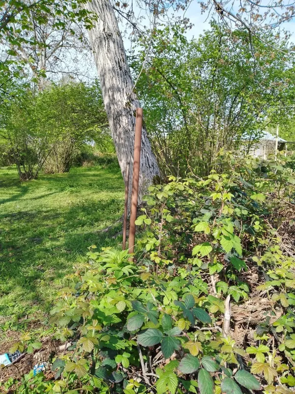 Satılır torpaq sahəsi 13 m²