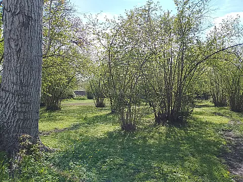 Satılır torpaq sahəsi 13 m²