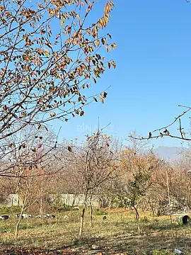 Satılır torpaq sahəsi 6 m²