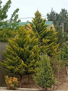 Satılır 5 otaqlı həyət evi 200 m²