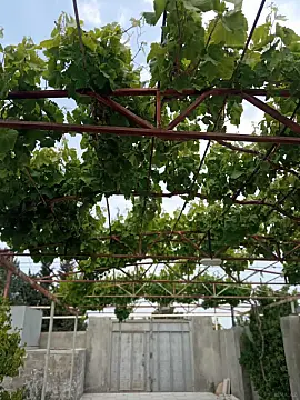 Satılır 5 otaqlı həyət evi 200 m²