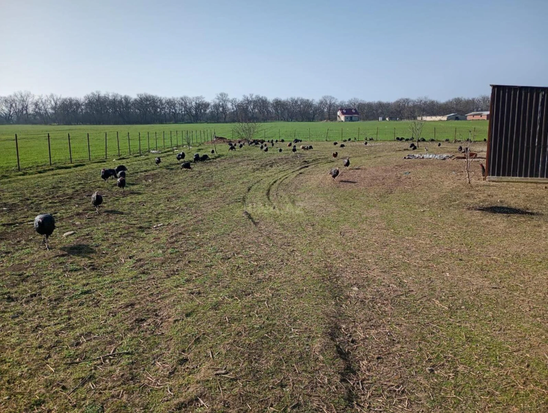 Satılır torpaq sahəsi 1000 m²