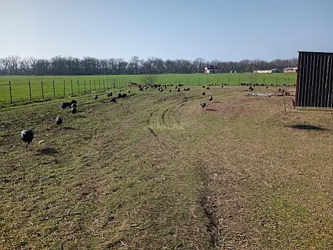 Satılır torpaq sahəsi 1000 m²