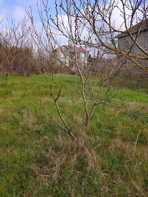 Satılır torpaq sahəsi 6 m²