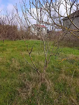 Satılır torpaq sahəsi 6 m² — Lənkəran 6.00 m²