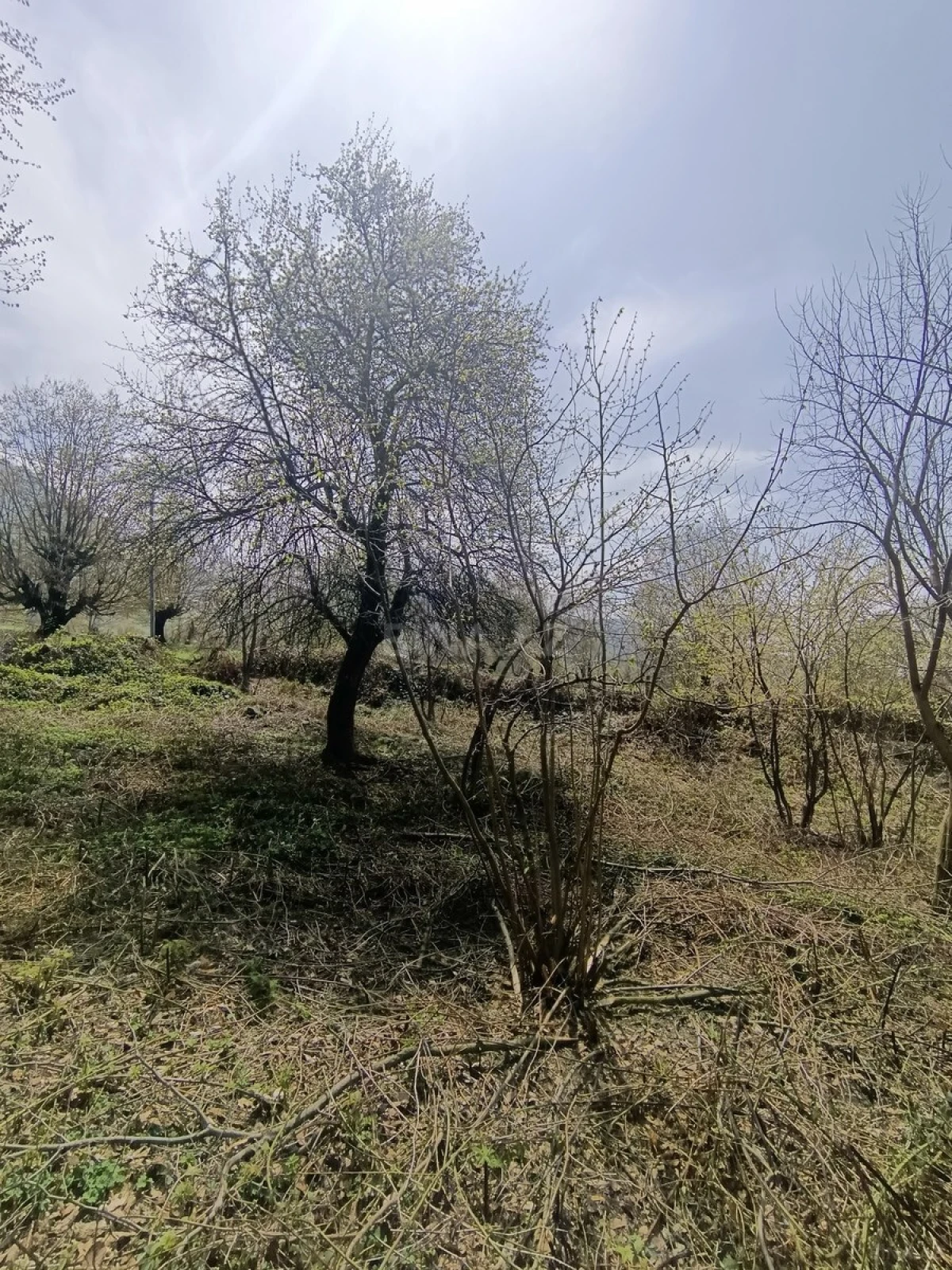 Satılır torpaq sahəsi 13 m²