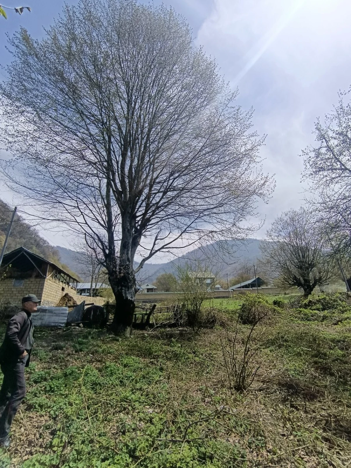 Satılır torpaq sahəsi 13 m²