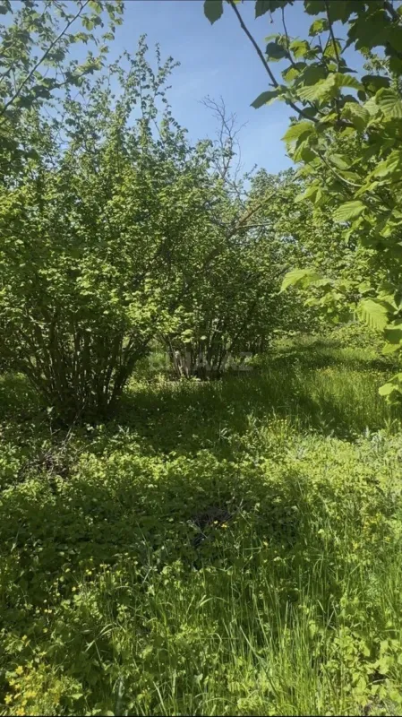 Satılır 4 otaqlı həyət evi 100 m²