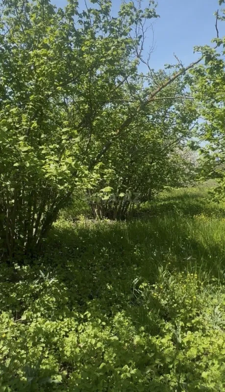 Satılır 4 otaqlı həyət evi 100 m²