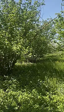 Satılır 4 otaqlı həyət evi 100 m²