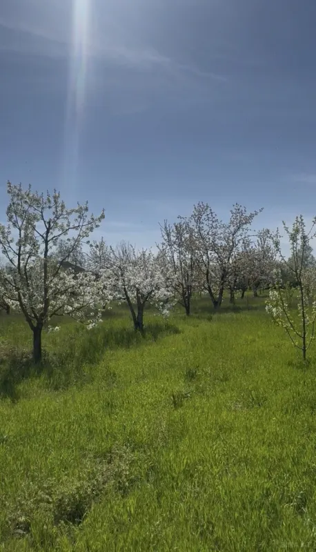 Satılır 4 otaqlı həyət evi 100 m²