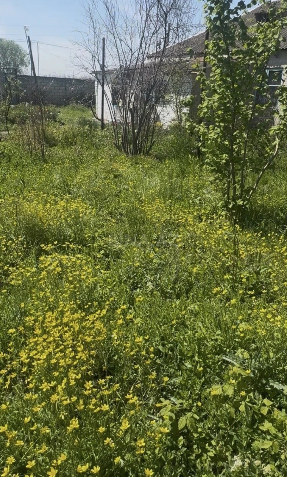 Satılır 4 otaqlı həyət evi 100 m²