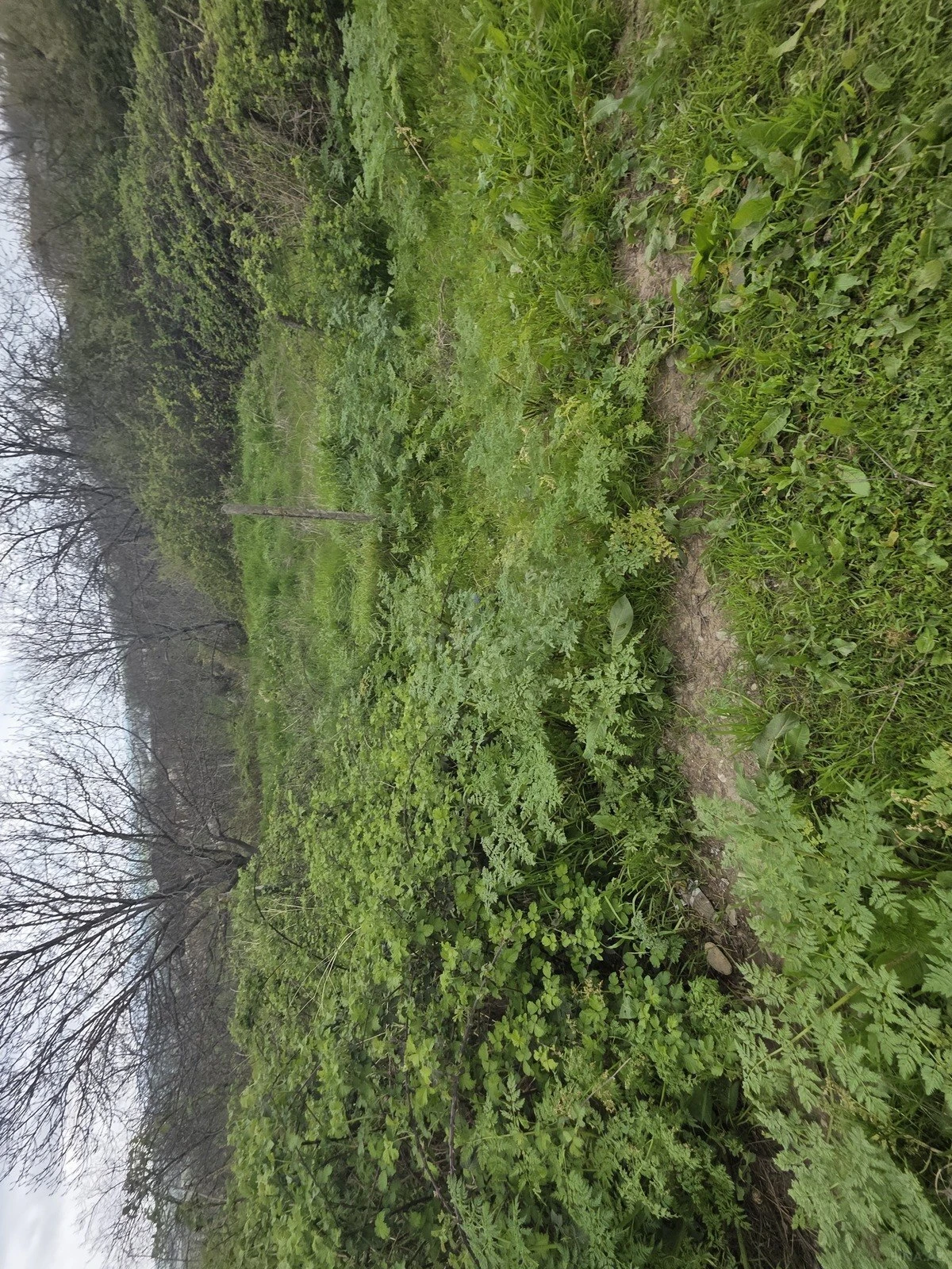 Satılır torpaq sahəsi 11 m²