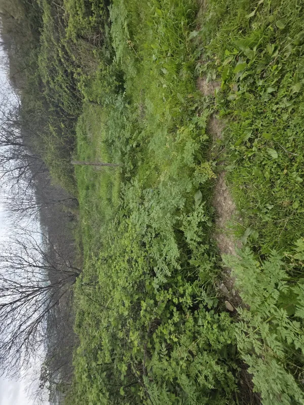 Satılır torpaq sahəsi 11 m²