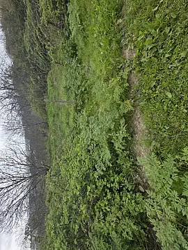 Satılır torpaq sahəsi 11 m²