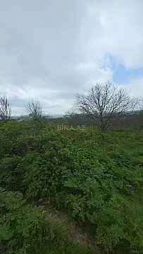 Satılır torpaq sahəsi 11 m²